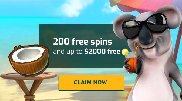 Free Spins Bonus